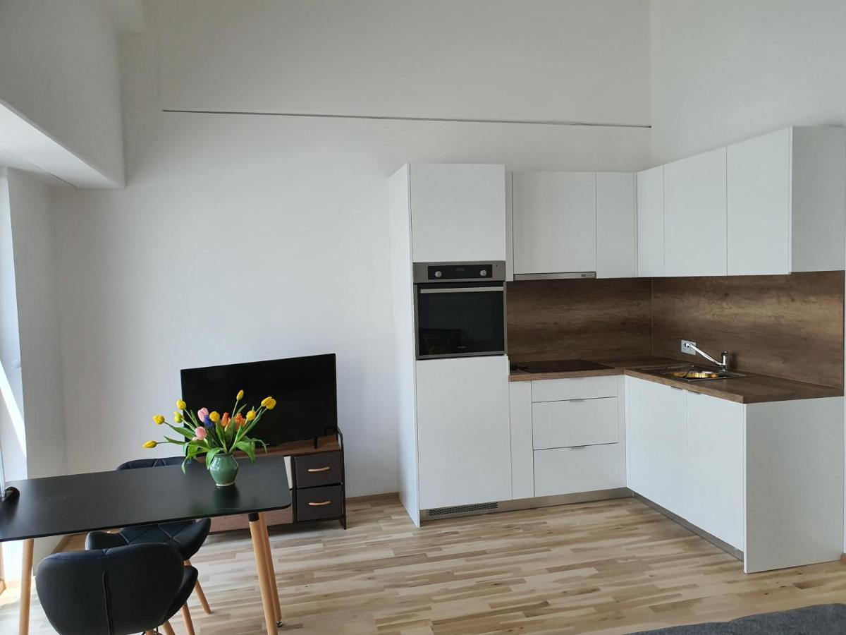 Appartement Greenpoint à Wiener Neustadt Extérieur photo